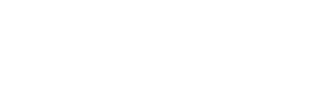 tint lab logo